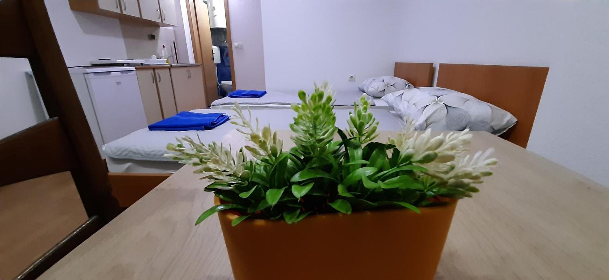 Apartment Riki 3 Near Bus Station Ohrid Exterior photo